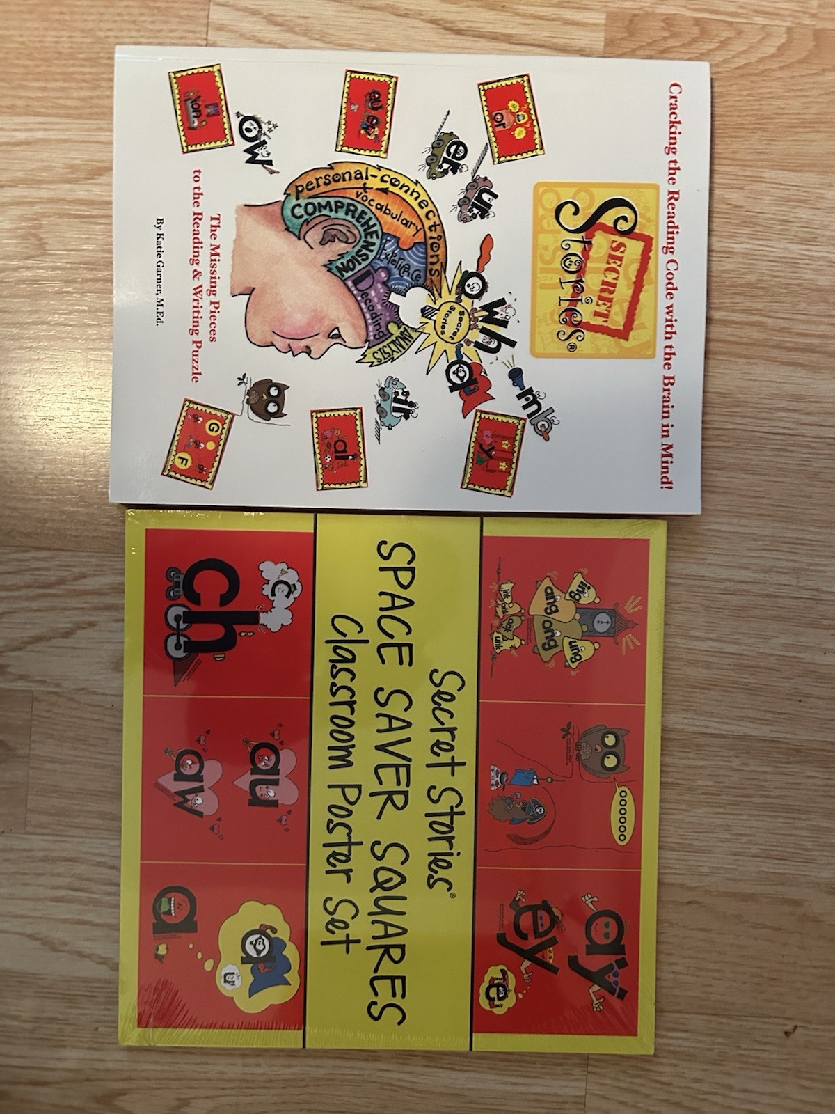 Secret Stories: Cracking the Reading Code with the Brain in Mind New  Cards