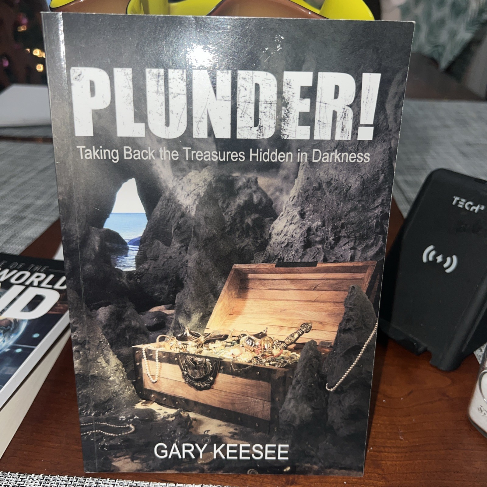 PLUNDER Taking Back the Treasures Hidden in Darkness by Gary Keesee (2025,...