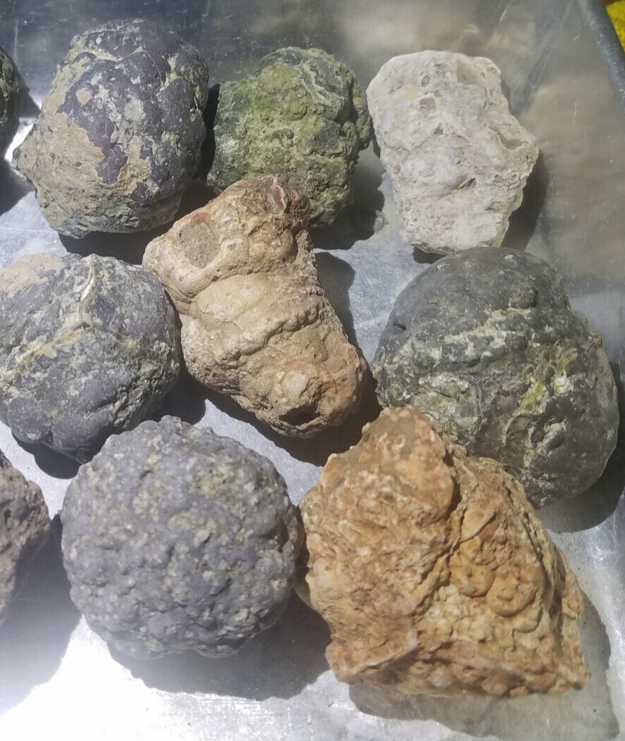 1-lb LOT = 7 to 8 Oregon Thundereggs Rough Lapidary JoNGD: Old Stock Geode Rocks