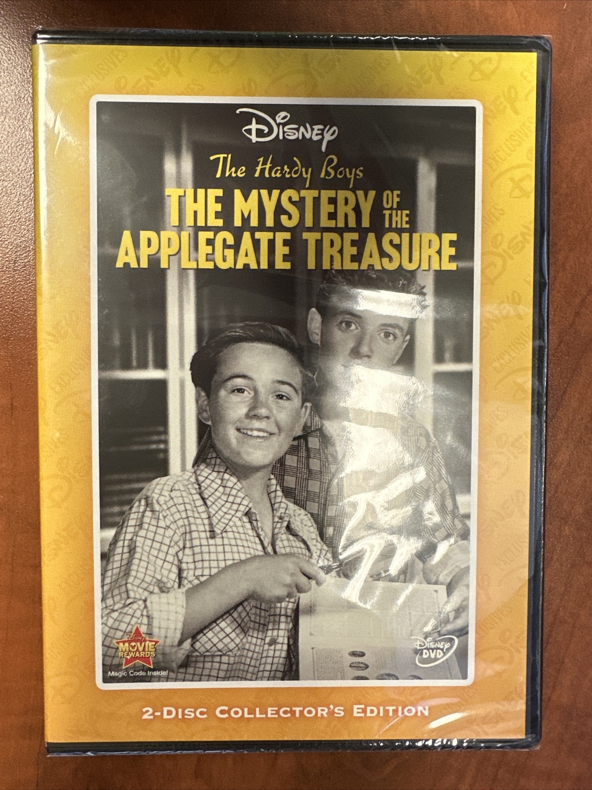 The Hardy Boys: Mystery of the Applegate Treasure (DVD, 2014, DMC Exclusive) NEW