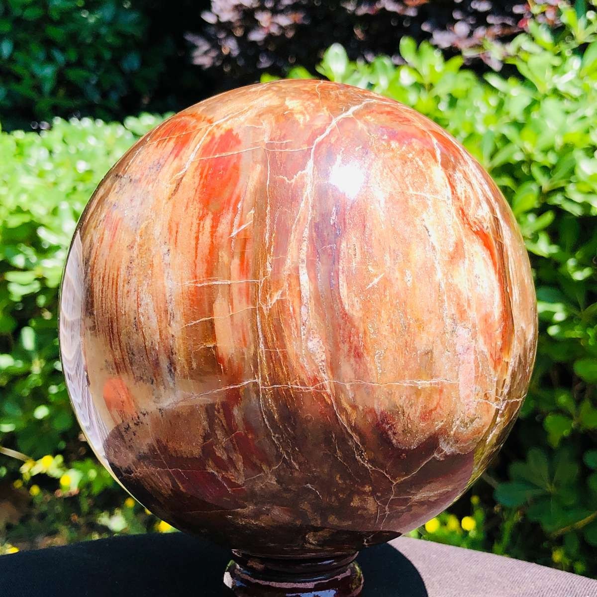 7.48LB Large Natural Petrified Wood Agate Sphere Crystal Healing Specimen 5676