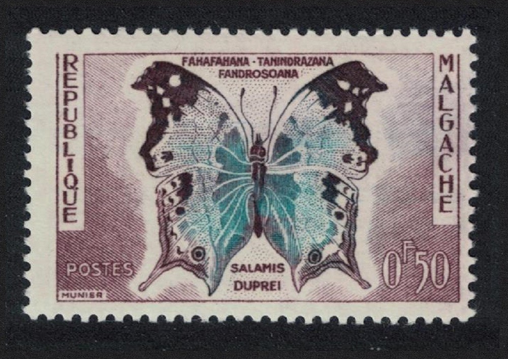 Malagasy Rep. Butterfly 'Salamis duprei' 1960 MH SG#9 MI#447 Sc#308 Malagasy Rep. Butterfly 'Salamis duprei' 1960 MH SG#9 MI#447 Sc#308