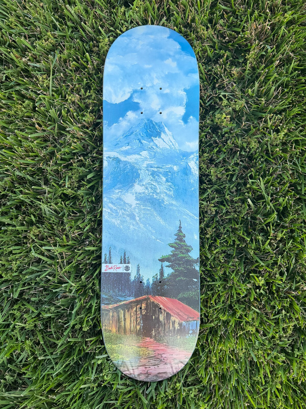 Extremely Rare - BOB ROSS EVERYBODY NEEDS A FRIEND - Element Skateboard Deck