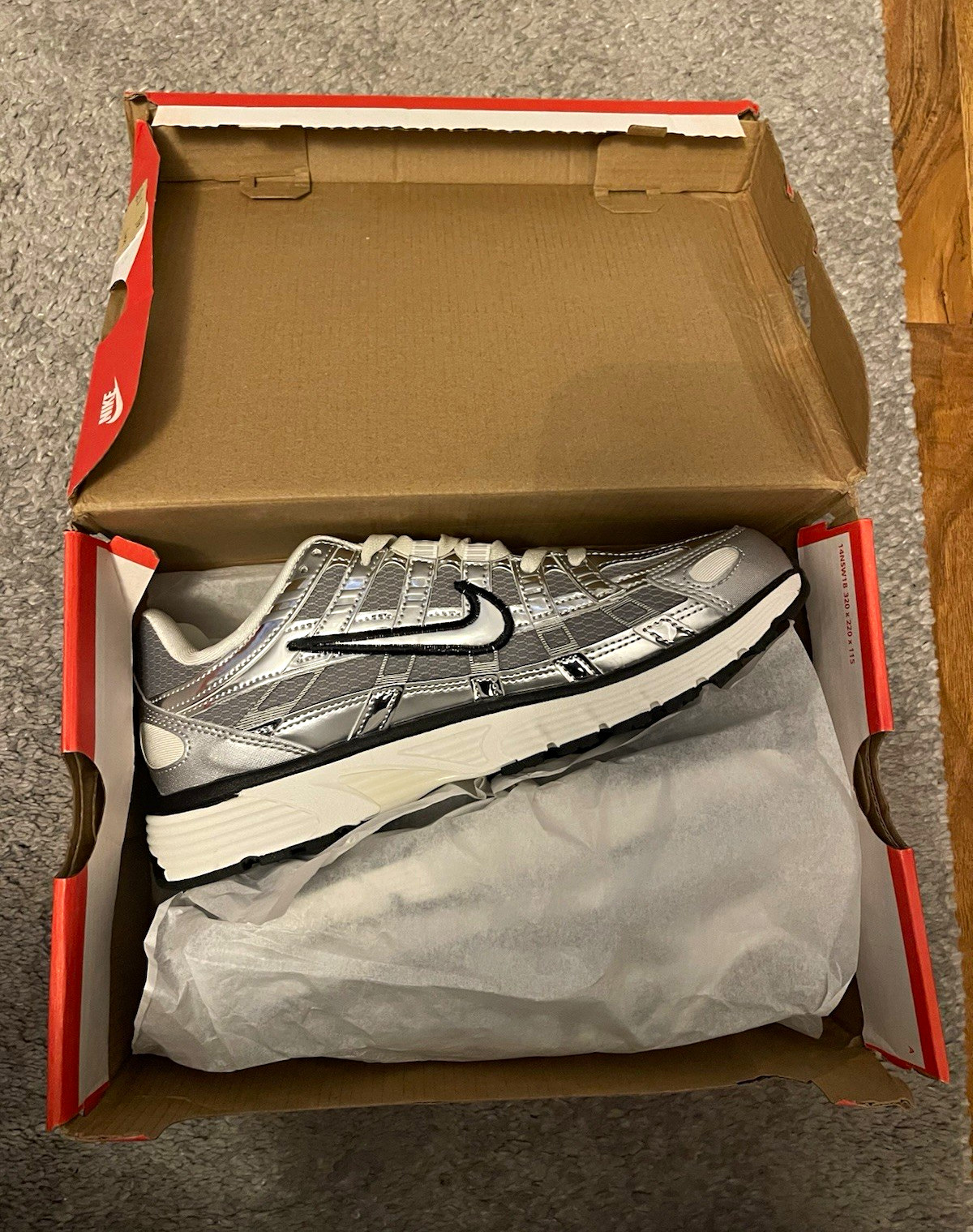 Nike P-6000 Metallic Silver/Sail/Black Low Top Mesh Sneakers CN0149-001