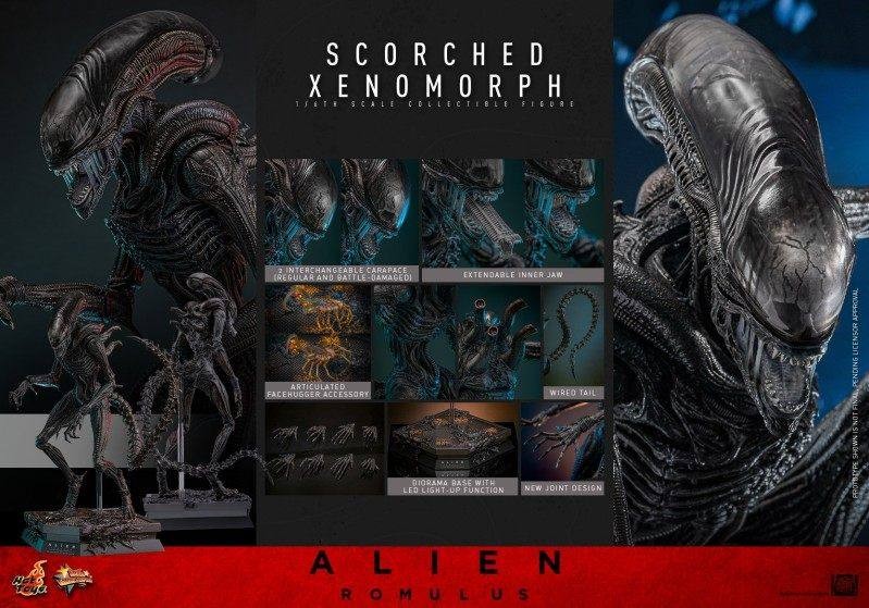 Hot Toys MMS784 Alien Romulus 1/6 Scale Scorched Xenomorph Action Figure Toy