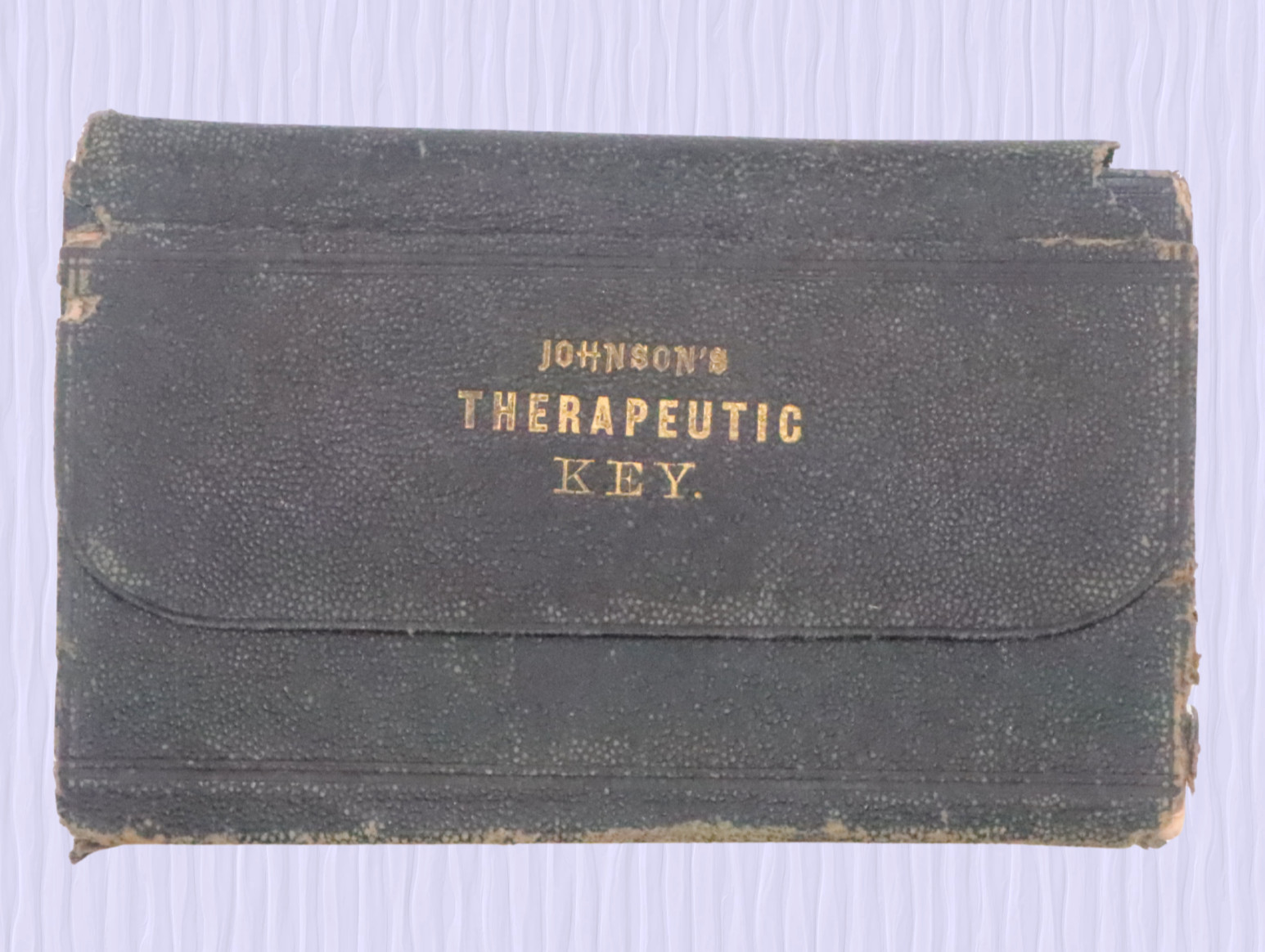 Rare 1874 Therapeutic Key Homeopathic Medical Book George Saylor MD Gilt Leather