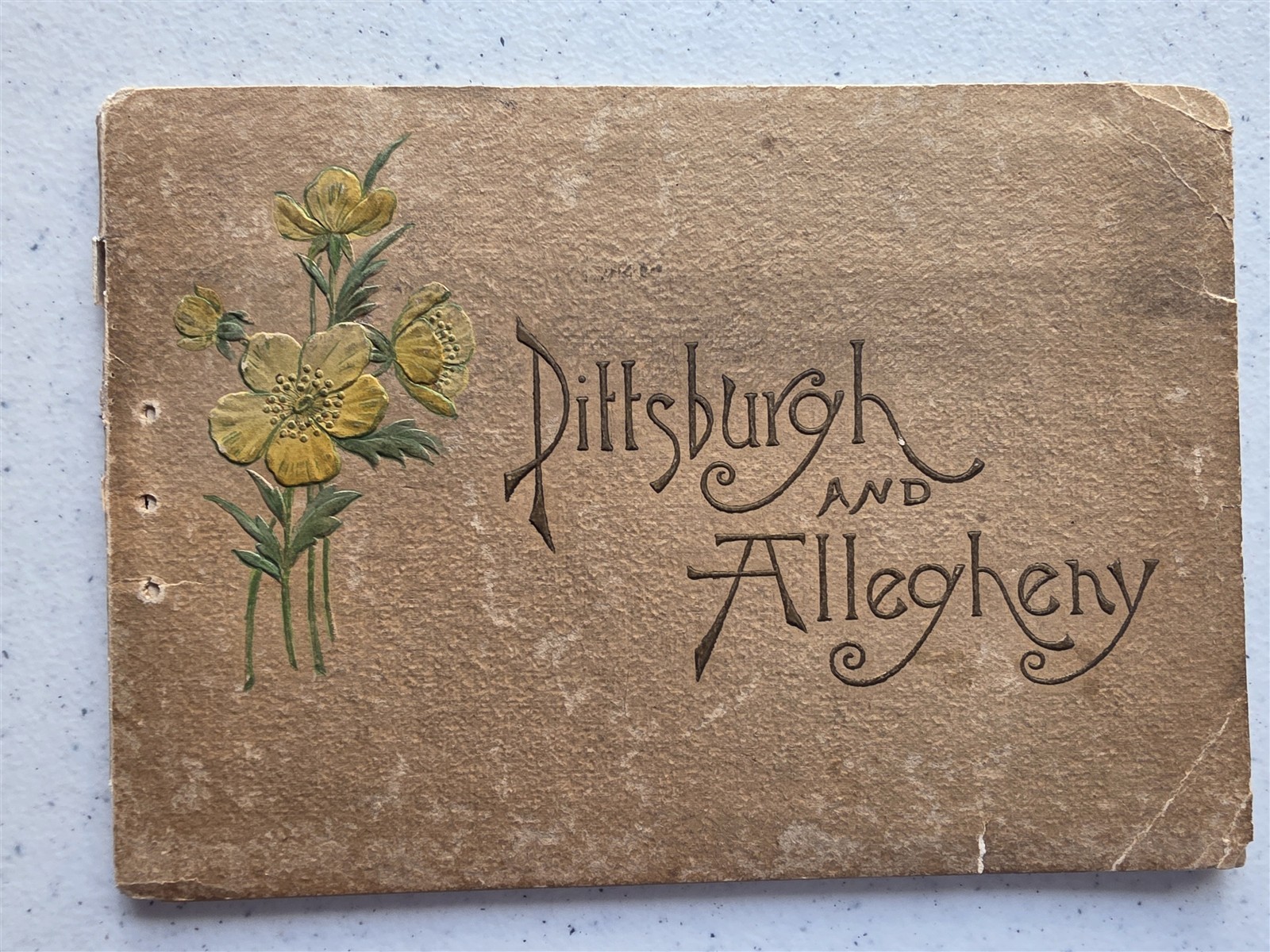 Pittsburgh & Allegheny Antique 1889 Book Portfolio of Photos, 16 Photogravures