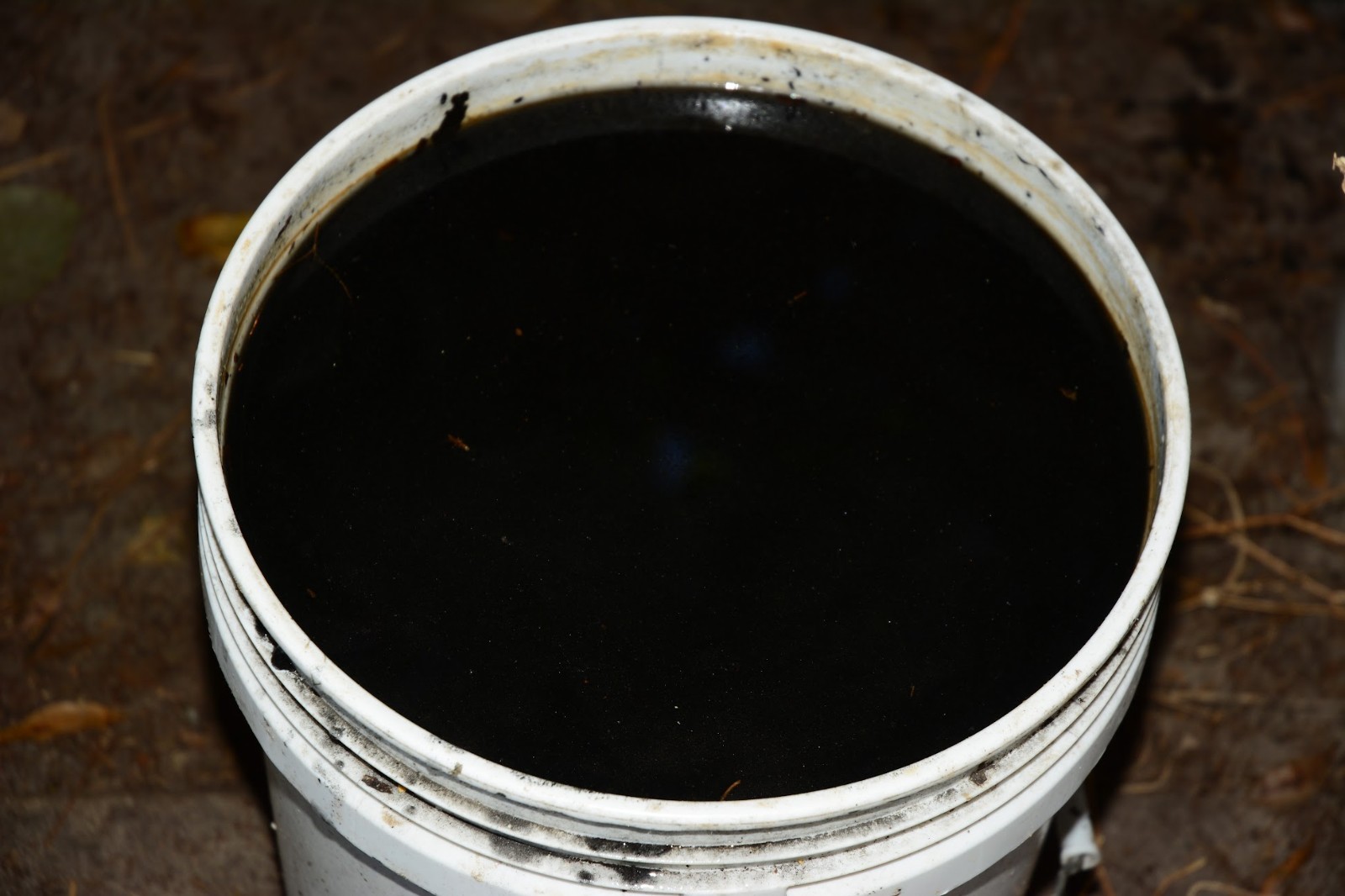 Liquid Biochar Extract Fertilizer 100% Organic Soil Foliar CARBON - 64 oz