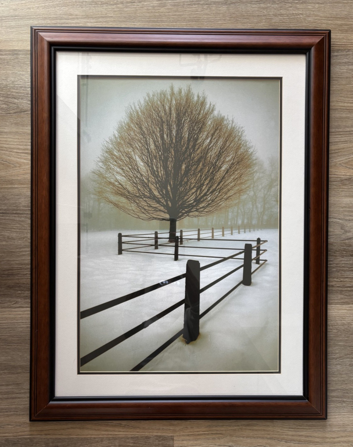 Amanti Art Framed Wall Art 27x36 Solitude by David Lorenz Winston Amanti Art Framed Wall Art 27x36 Solitude by David Lorenz Winston