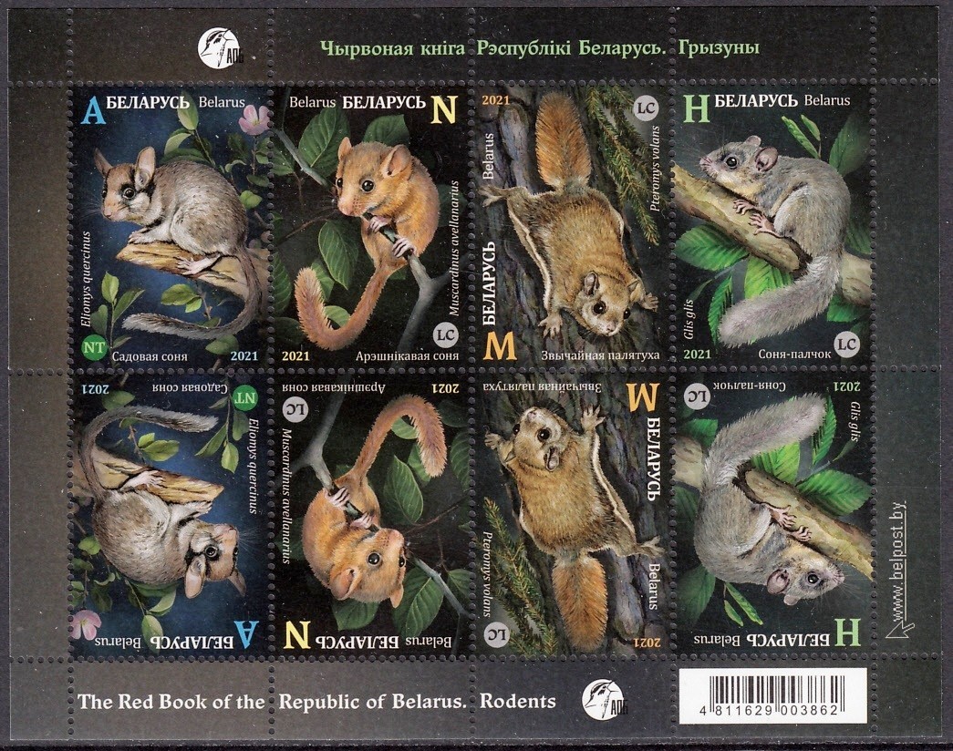 Belarus 2021 Wild Animals Rodents SHEET