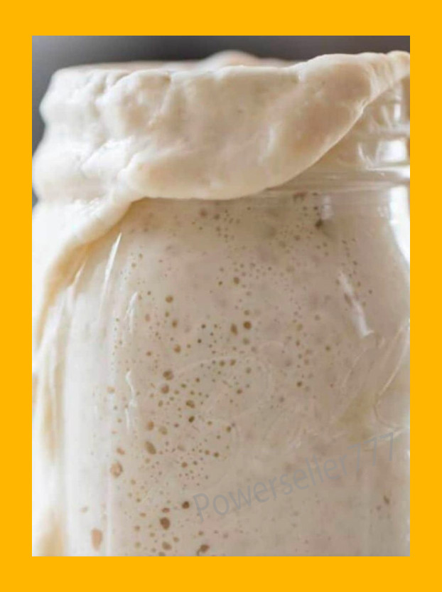 ORGANIC Sourdough Bread Starter San Francisco Dehydrated 200yrs Old BEST SELLER