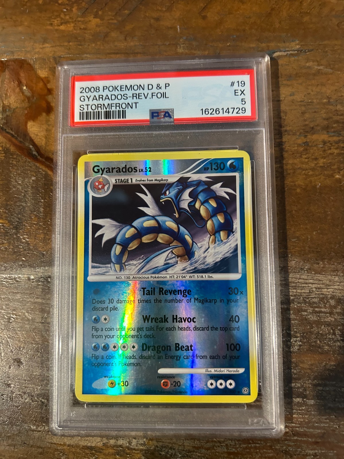 POKEMON 2008 D & P Stormfront GYARADOS Reverse Foil #19 PSA 5 RARE Pop 5