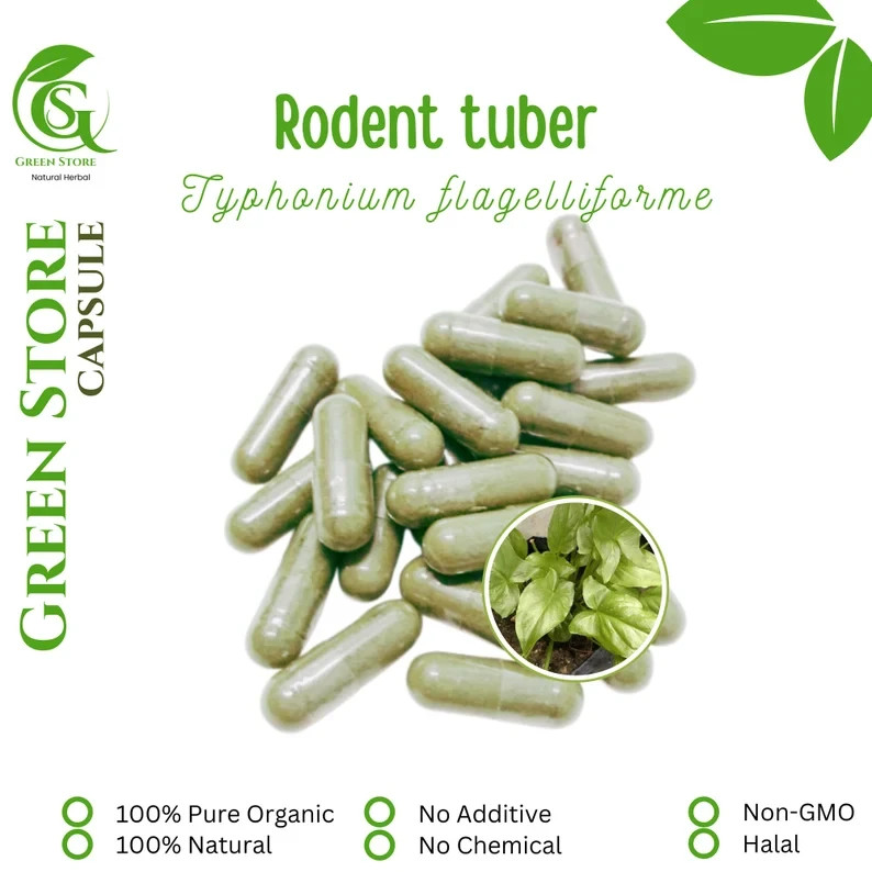 100-1000 CAPSULES Typhonium Flagelliforme Rodent Tuber @600mg Fresh Natural Herb