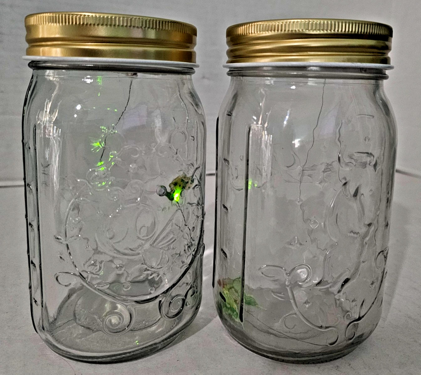 Lot Gemmy My Pet Firefly & My Pet Fairy Green Mason Jar Interactive Tested Works Lot Gemmy My Pet Firefly & My Pet Fairy Green Mason Jar Interactive Tested Works