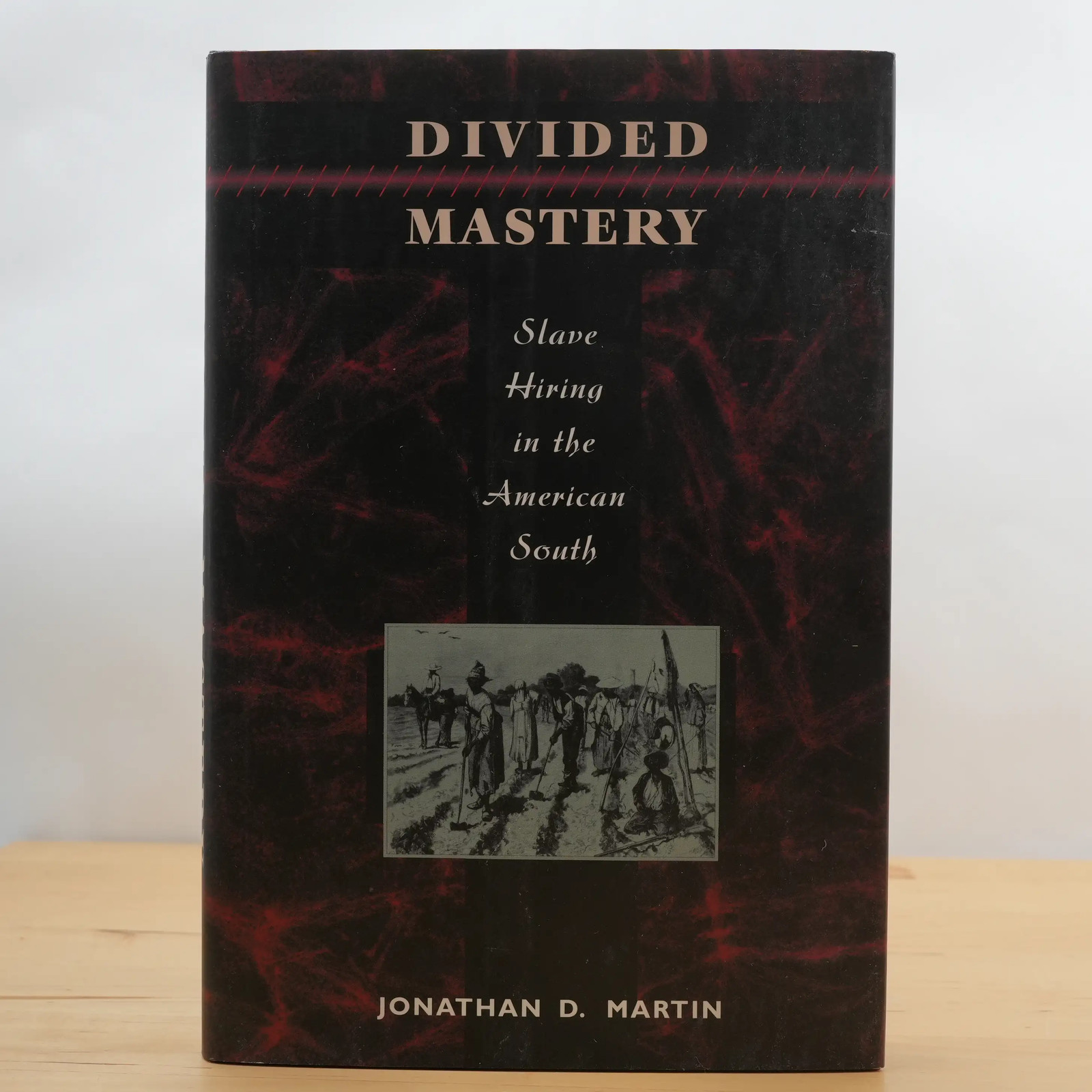 Divided Mastery: Slave Hiring in the American South by Jonathan D. Martin Divided Mastery: Slave Hiring in the American South by Jonathan D. Martin