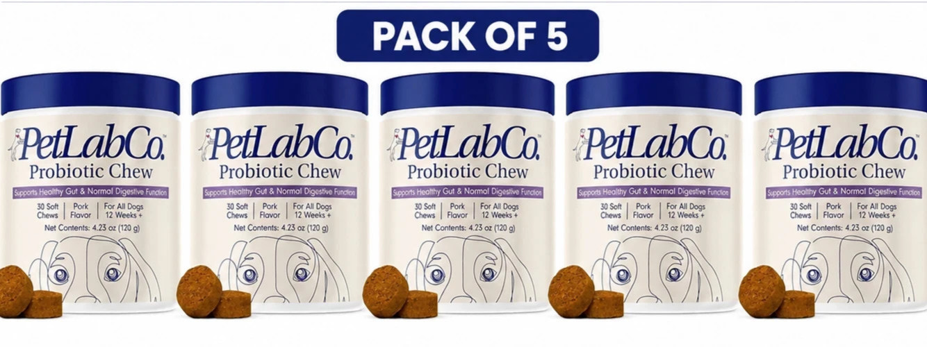 5 Pack (PetLabCo.) Supports Healthy Gut & Normal Digestive Probiotic Chew