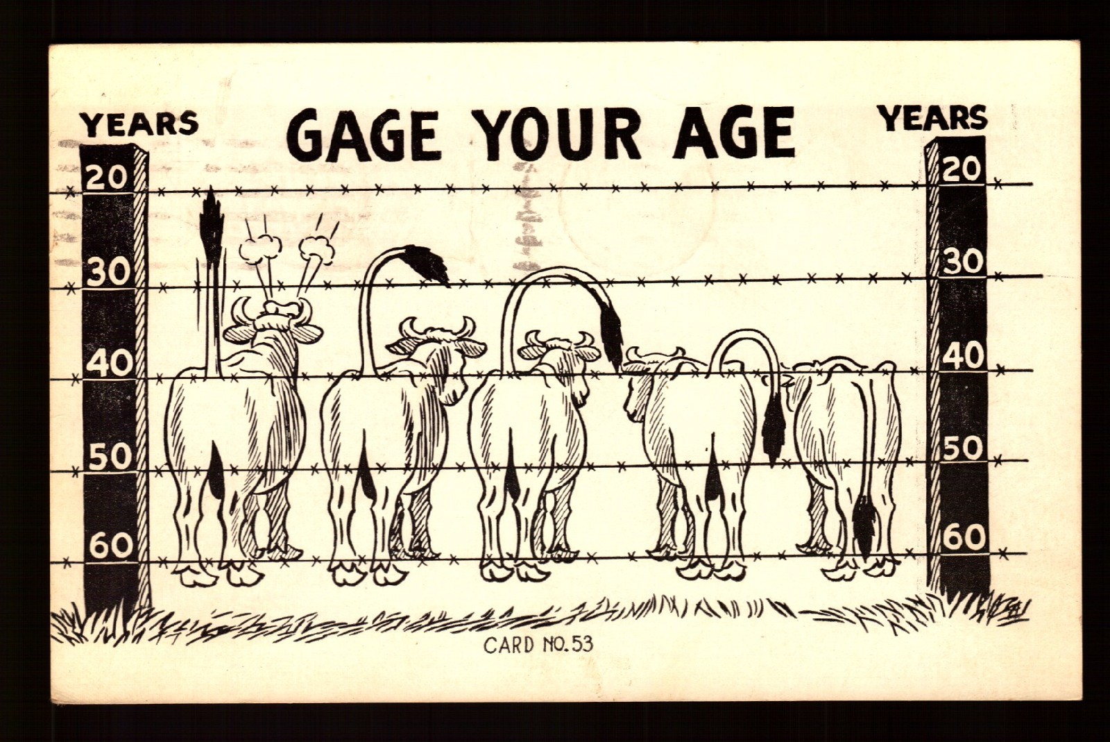 POSTCARD : COMIC GAGE YOUR AGE - MAILED 1951 FROM BRANSON MISSOURI MO