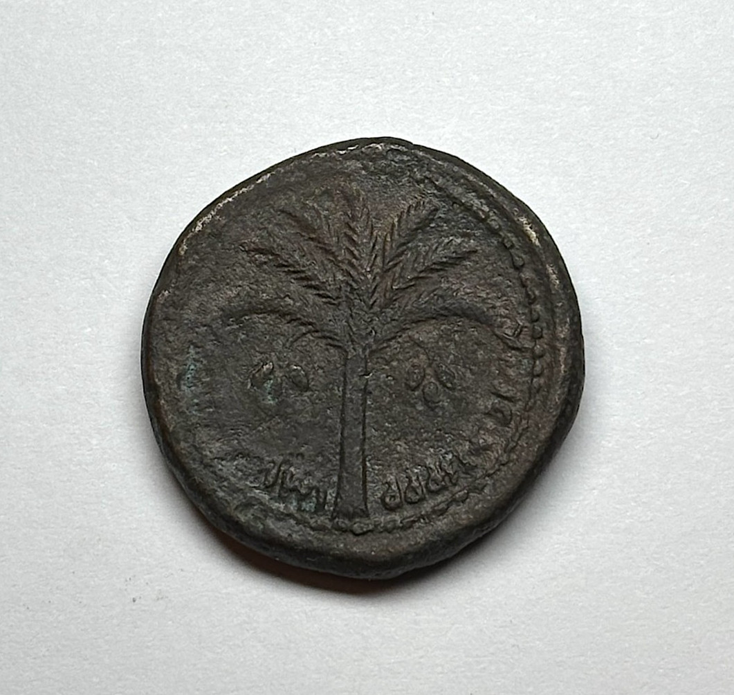 (81-96 AD) Roman Judaea - AE28 of Domitian.