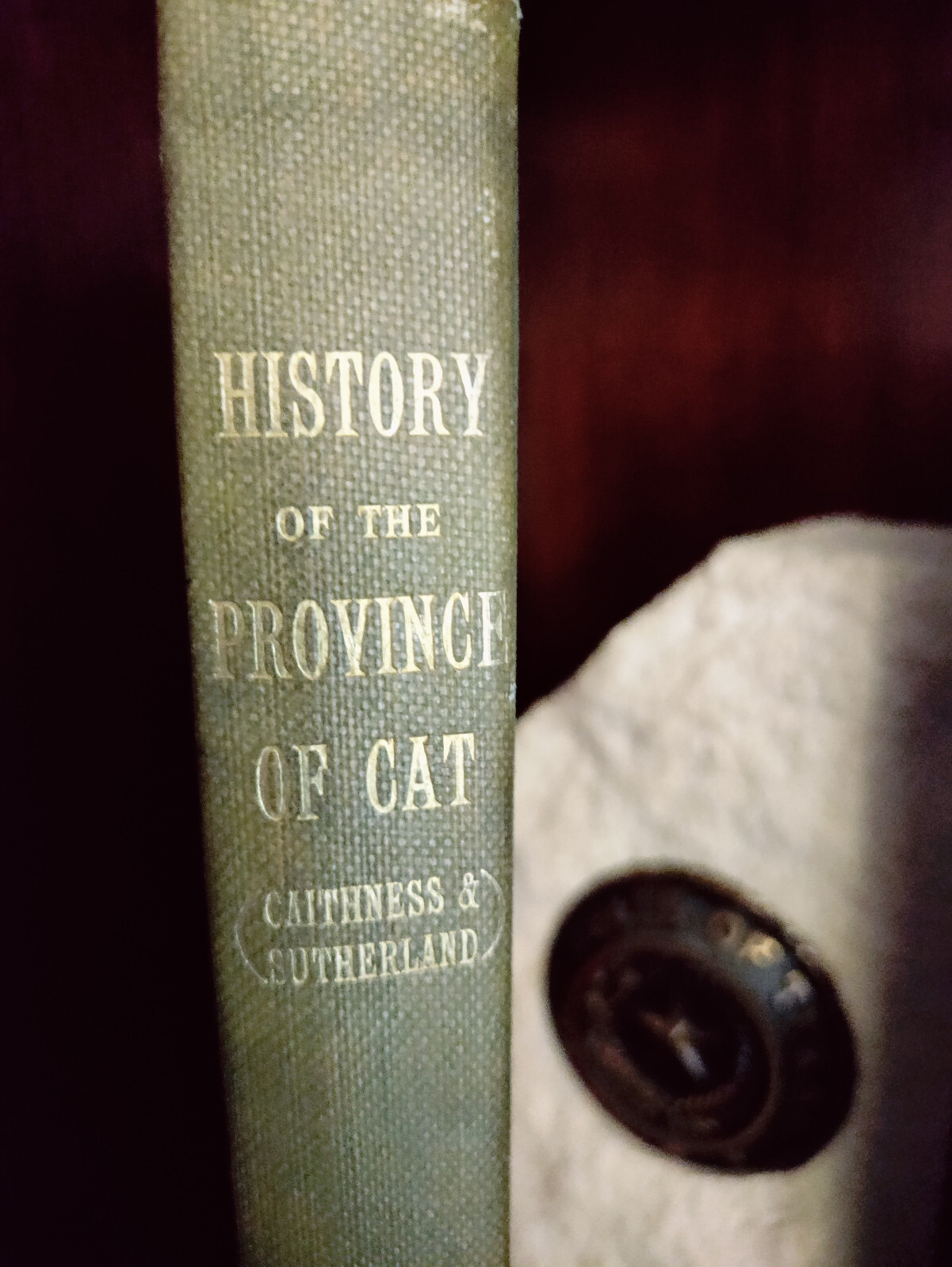 *RARE*_ANTQ_History of Province of Cat (Caithness)_Angus McKay_1914_Very Good *RARE*_ANTQ_History of Province of Cat (Caithness)_Angus McKay_1914_Very Good
