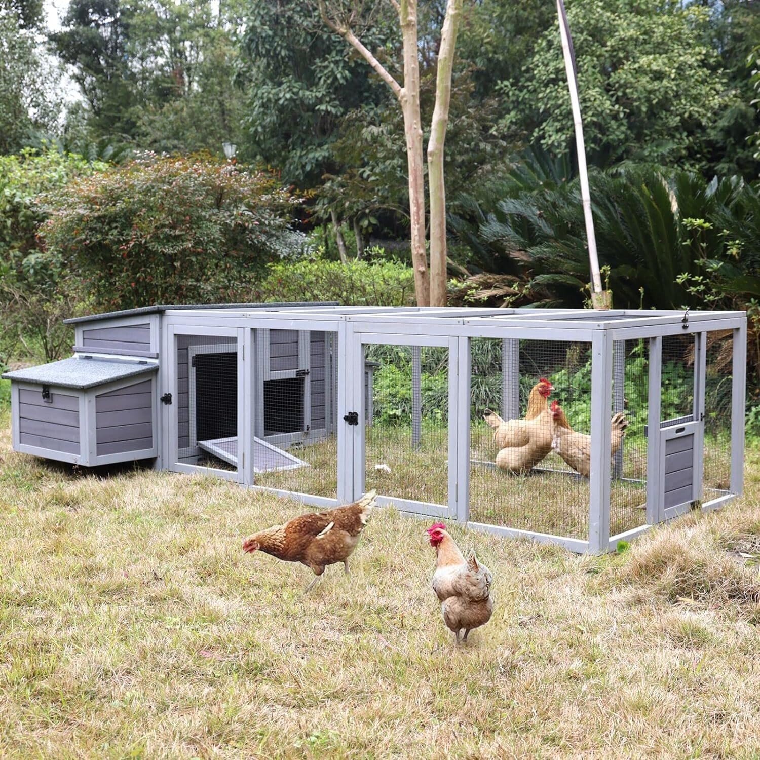 Aivituvin Chicken Coop 103\