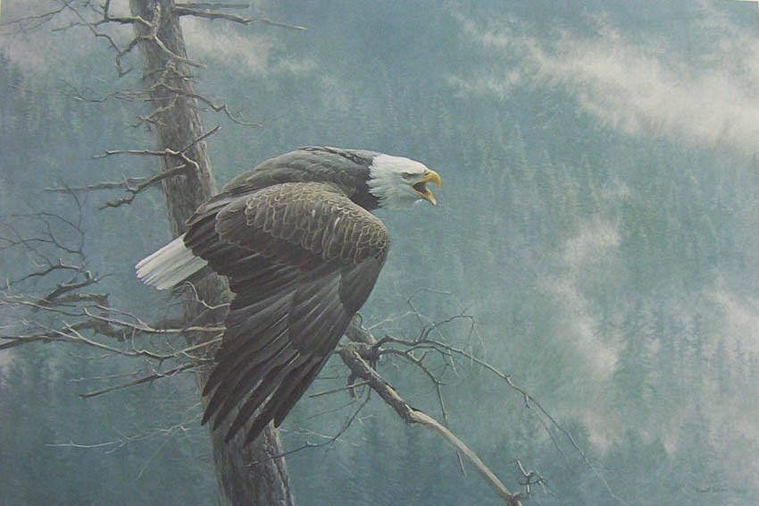 Robert Bateman THE AIR, THE FOREST & THE WATCH Signed And Numbered 23\