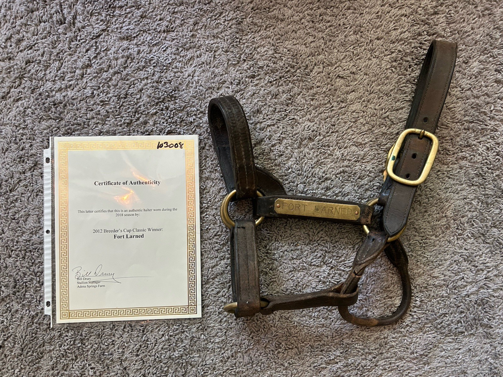 Fort Larned 2012 Breeders Cup Classic & Travers Winner Worn Halter with COA