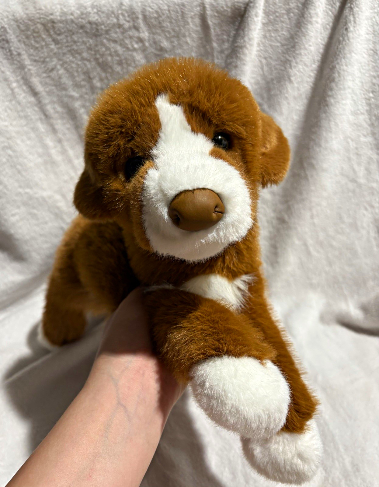 Douglas 16 in Rush Duck Tolling Retriever