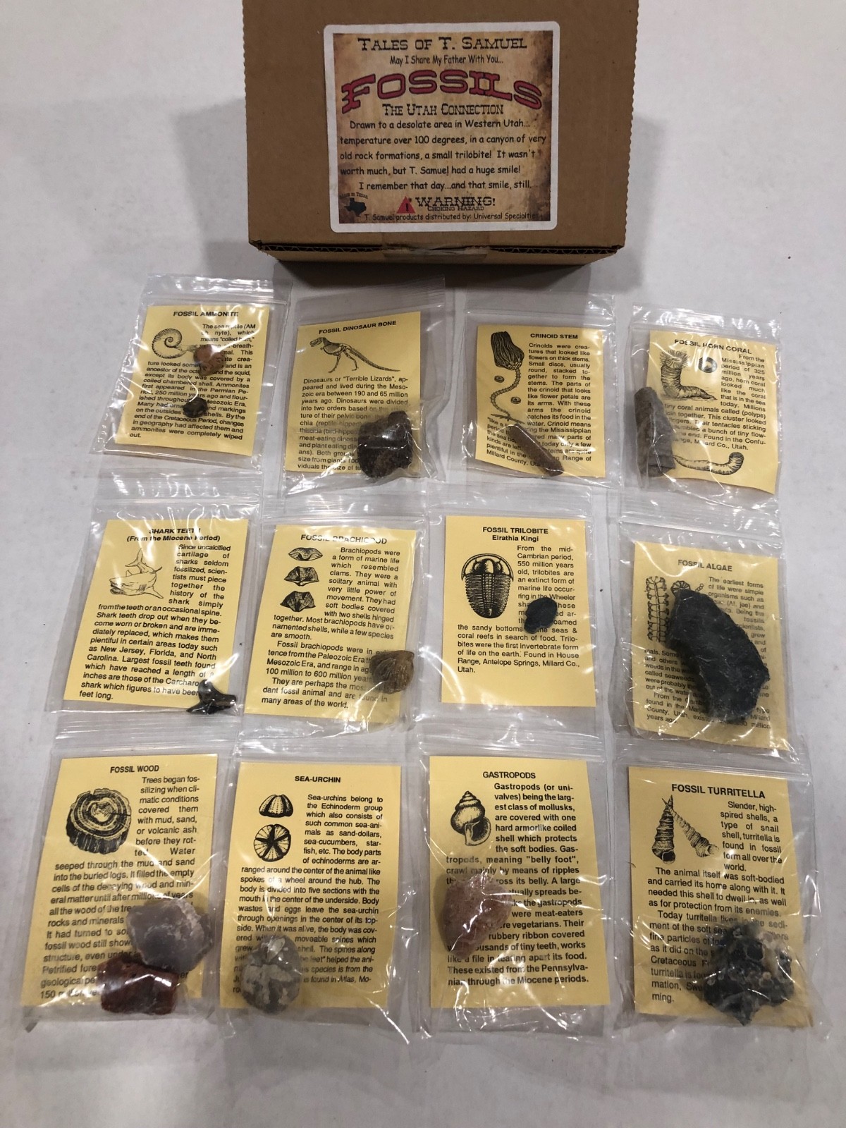 12 Piece Fossil Collection - 12 Specimens w/ Fact Sheet Great for Starting Out