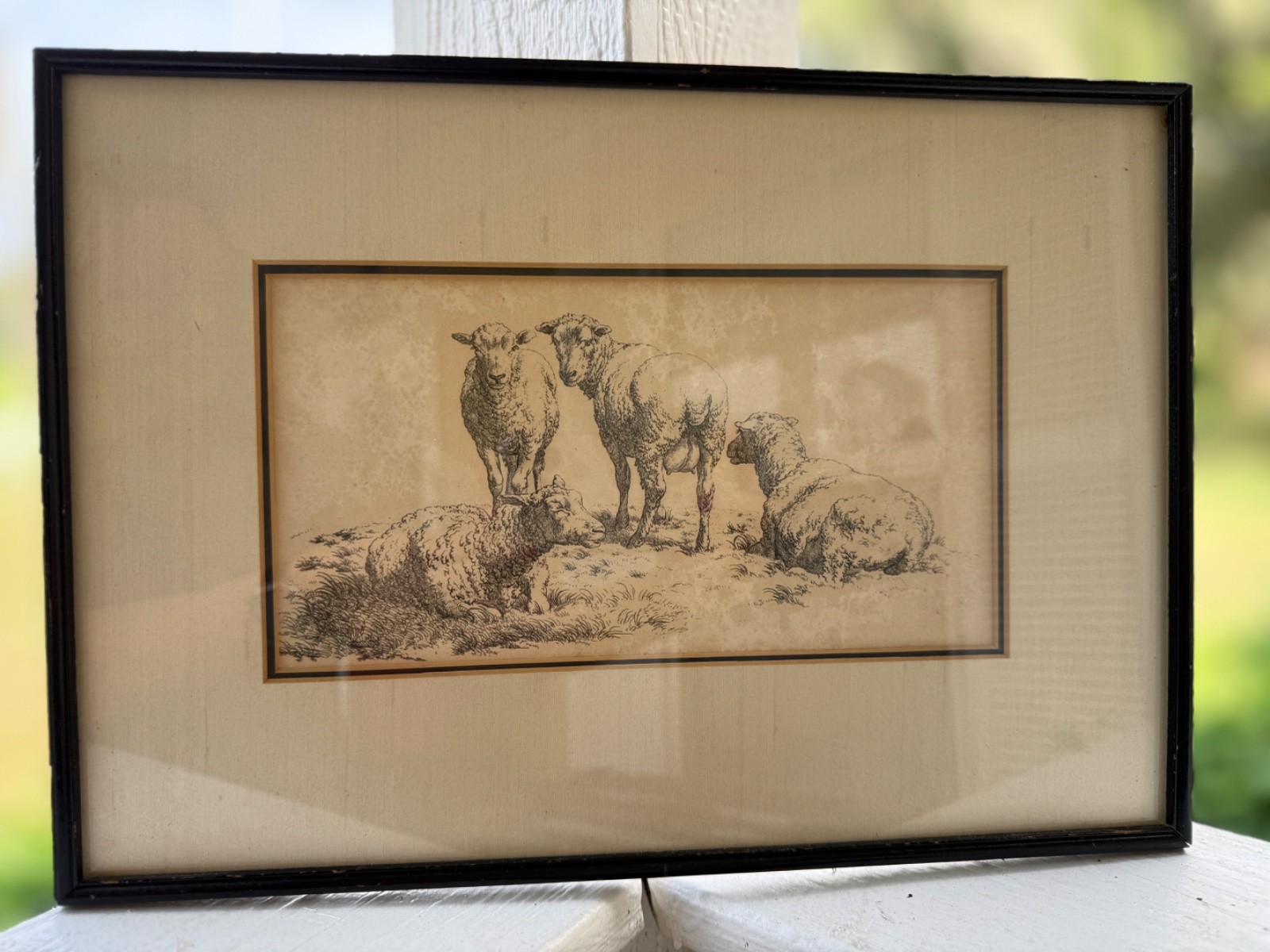 Antique Robert Hills 1800s Sheep Etching Print Framed Alden Galleries