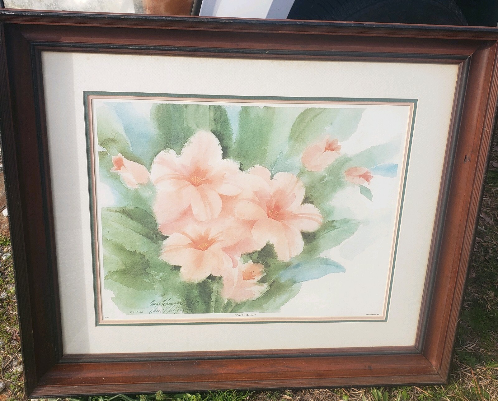Oscar Velazquez Peach Hibiscus Framed Wood Under Glass Watercolor Print Signed Oscar Velazquez Peach Hibiscus Framed Wood Under Glass Watercolor Print Signed