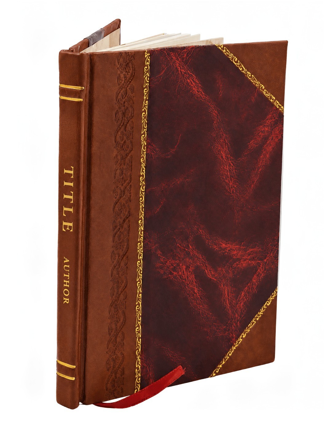 The application of ornament 1888 [Leather Bound]
