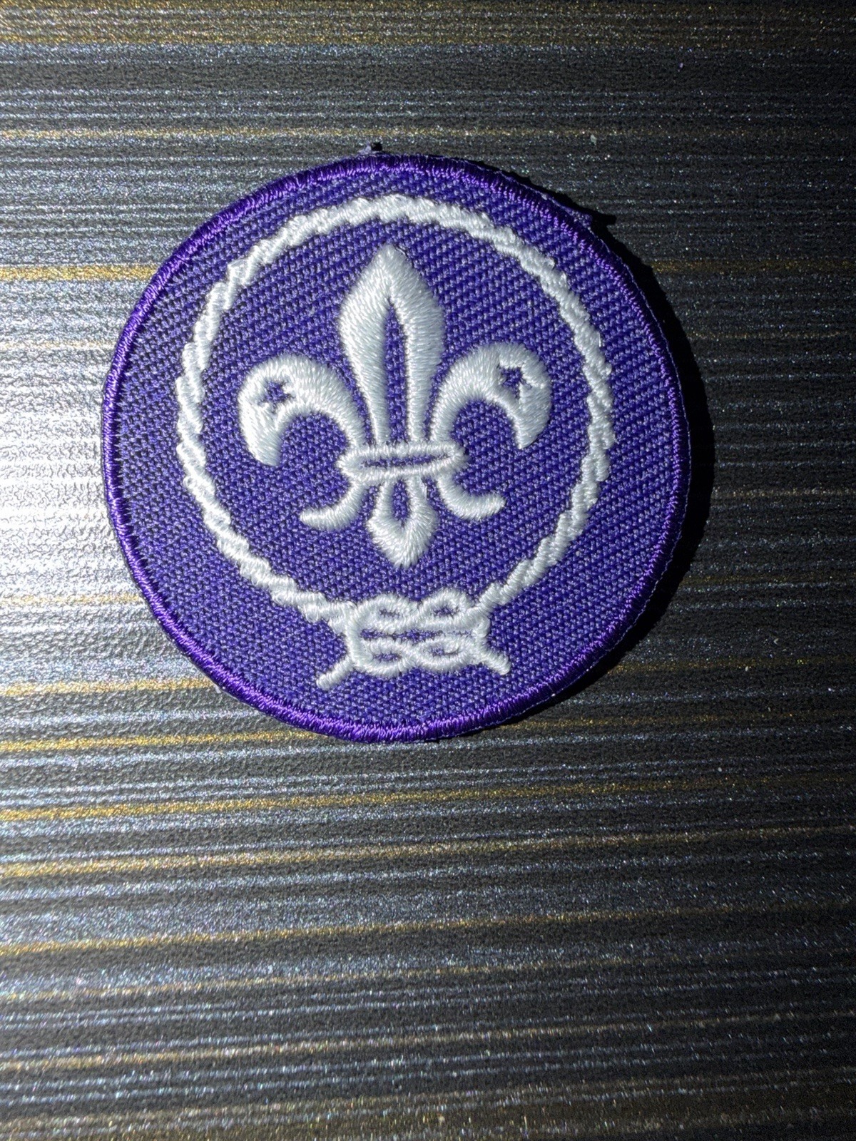 Scouting America Boy Scouts BSA World Crest Patch Brand New Scouting America Boy Scouts BSA World Crest Patch Brand New