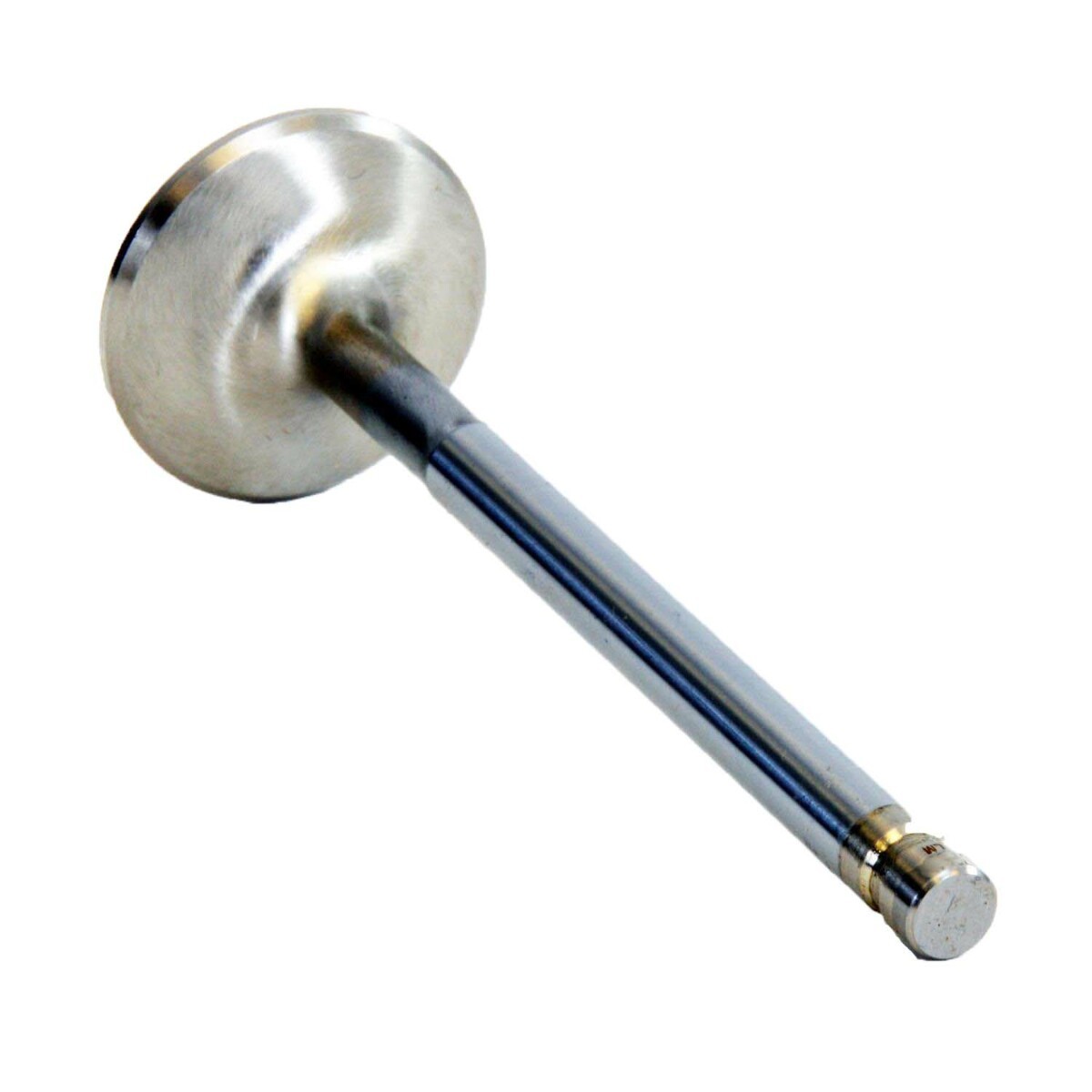 EngineTech Intake Valve fits 1979-1999 GMC C1500 88-99 Chevrolet C1500 EngineTech Intake Valve fits 1979-1999 GMC C1500 88-99 Chevrolet C1500