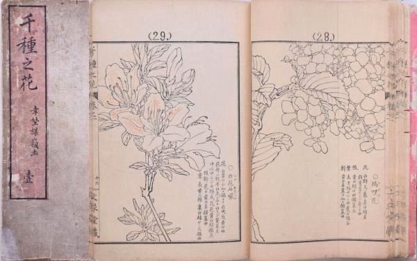 Antique 1905 Japanese Woodblock Print Chikusa no Hana 1 1st Edition 24×16cm F/S