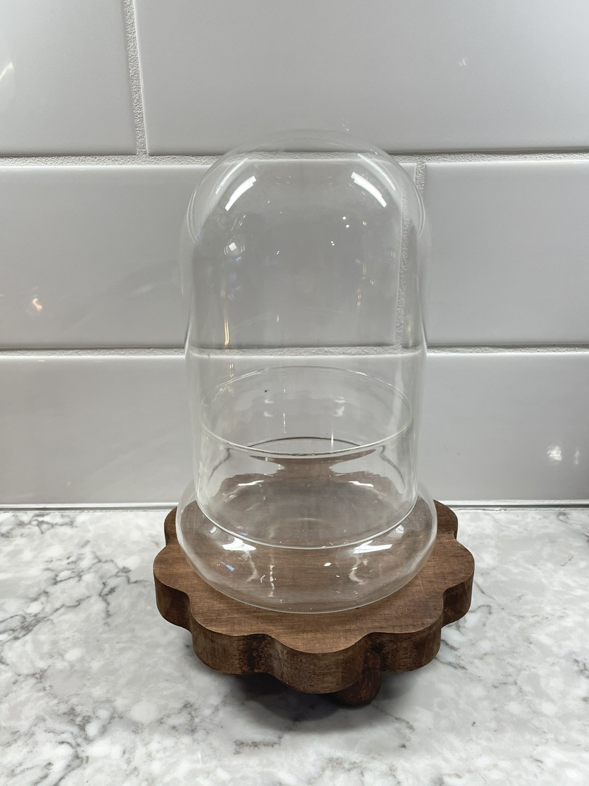 7” Glass Terrarium Cloche Transparent Indoor Plant Dome with Base 7” Glass Terrarium Cloche Transparent Indoor Plant Dome with Base