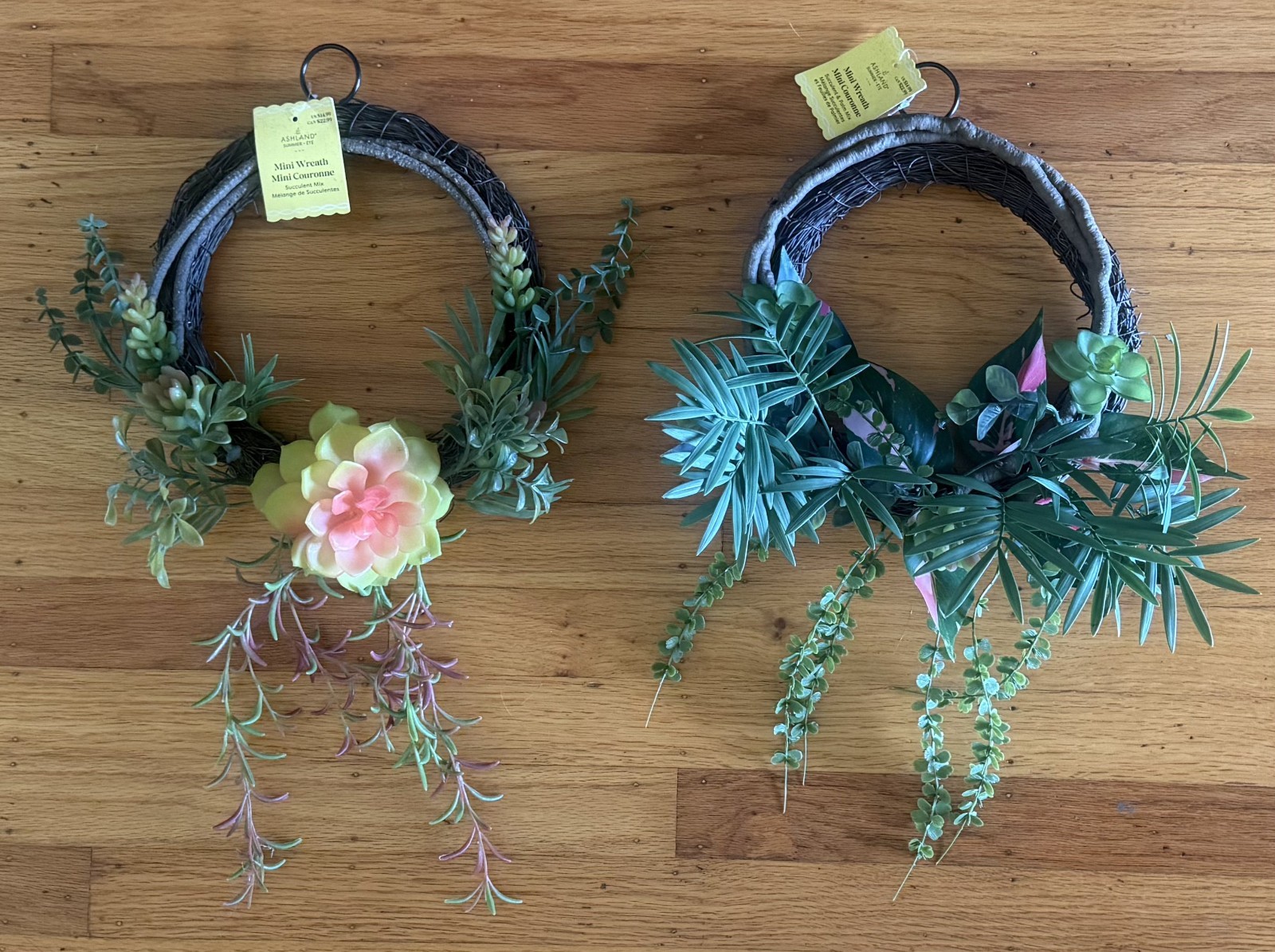 TWO (2) NWT Wreaths of Succulents and branches - ASHLAND brand (Michael\'s) TWO (2) NWT Wreaths of Succulents and branches - ASHLAND brand (Michael\'s)