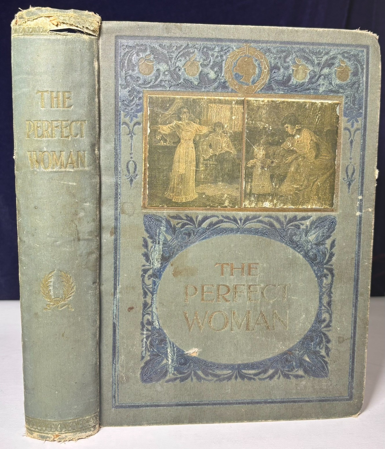 The Perfect Woman 1901 1st Edition Antique Illustrated Hardcover Color Plates