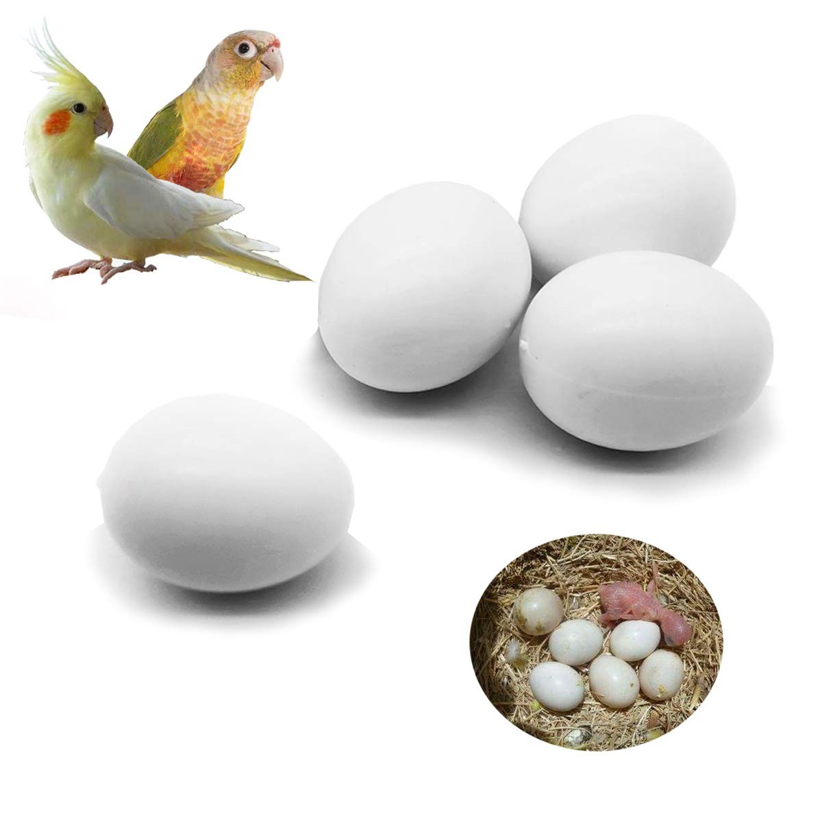4 Pcs Realistic Plastic Hatching Eggs for Bird Breeding Stop Egg Laying