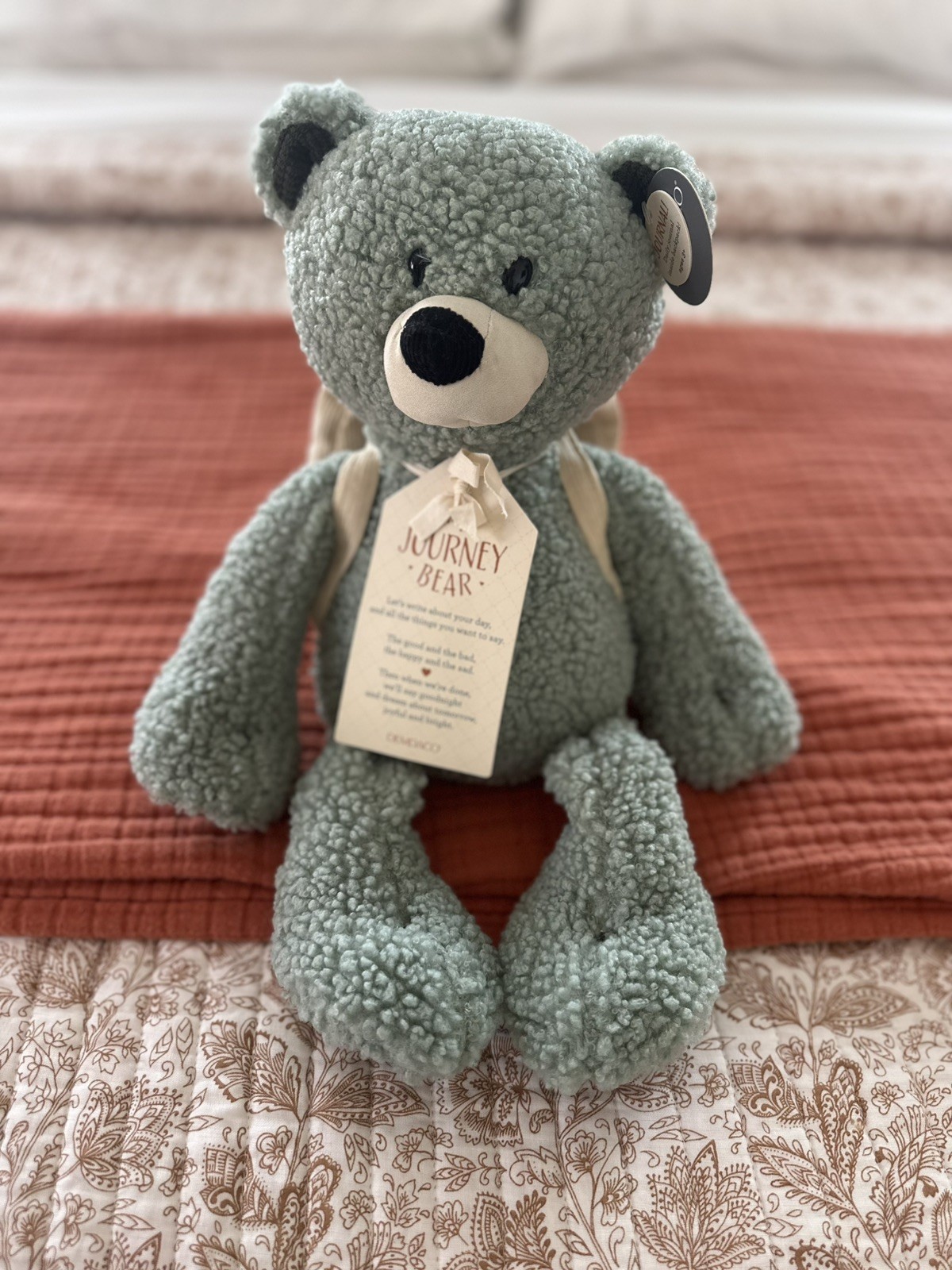 DEMDACO Journey Bear With Journal Book Plush Stuffed Writing Feelings Thoughts