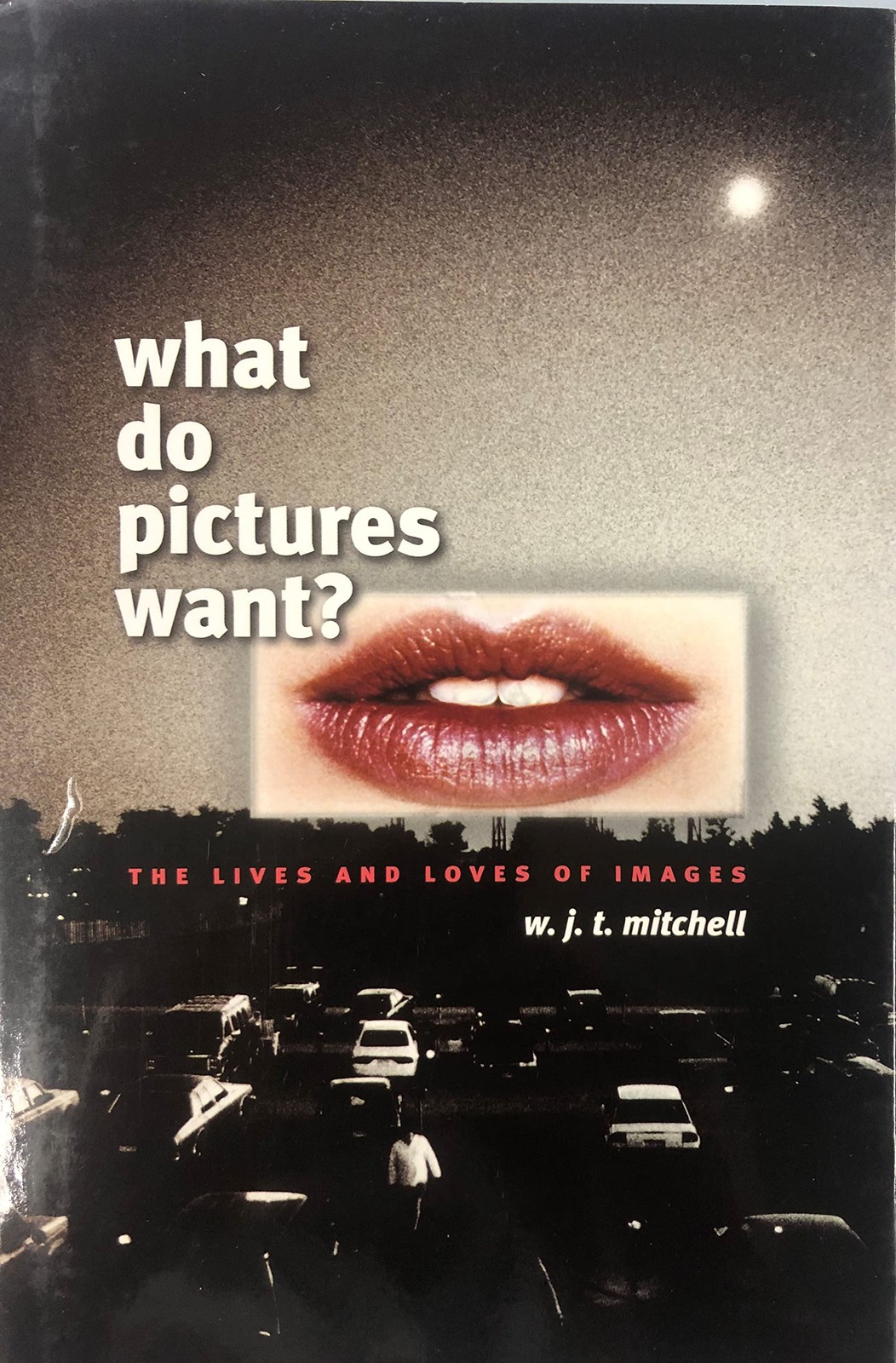 What Do Pictures Want?: The Lives and Loves of Images