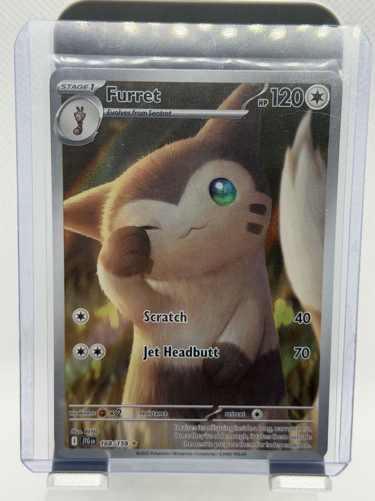 Furret 168/159 Sv09: Journey Together Holo Furret 168/159 Sv09: Journey Together Holo