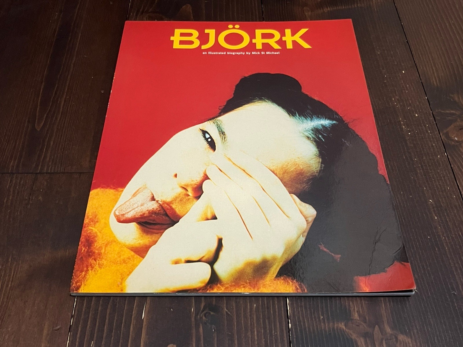 RARE 1996 ENGLISH PHOTO BOOK BJORK AN ILLUSTRATED BIOGRAPHY