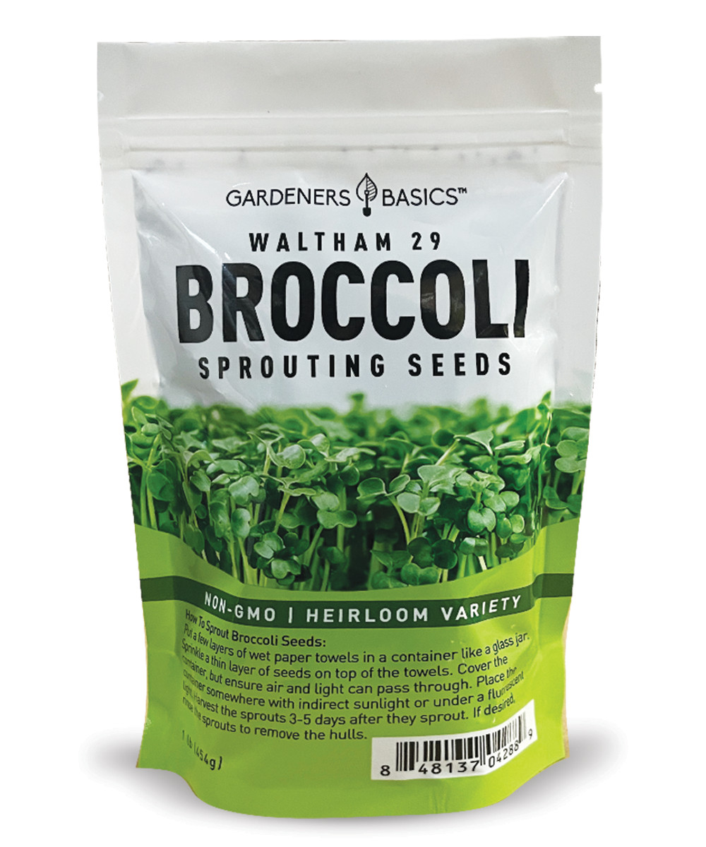 Waltham 29 Broccoli Sprouting Seeds - 1 Pound