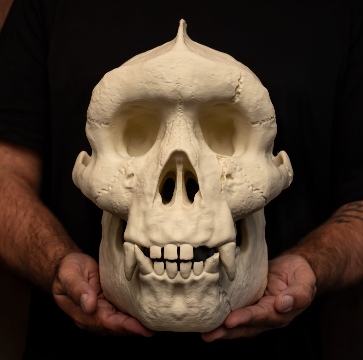 Bigfoot Sasquatch Skull Replica Life Size Cryptid Skull Exclusive Sculpture