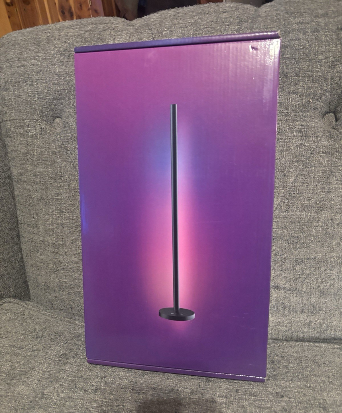 [BRAND NEW] - OIYN Smart RGBICW LED Corner Floor Lamp