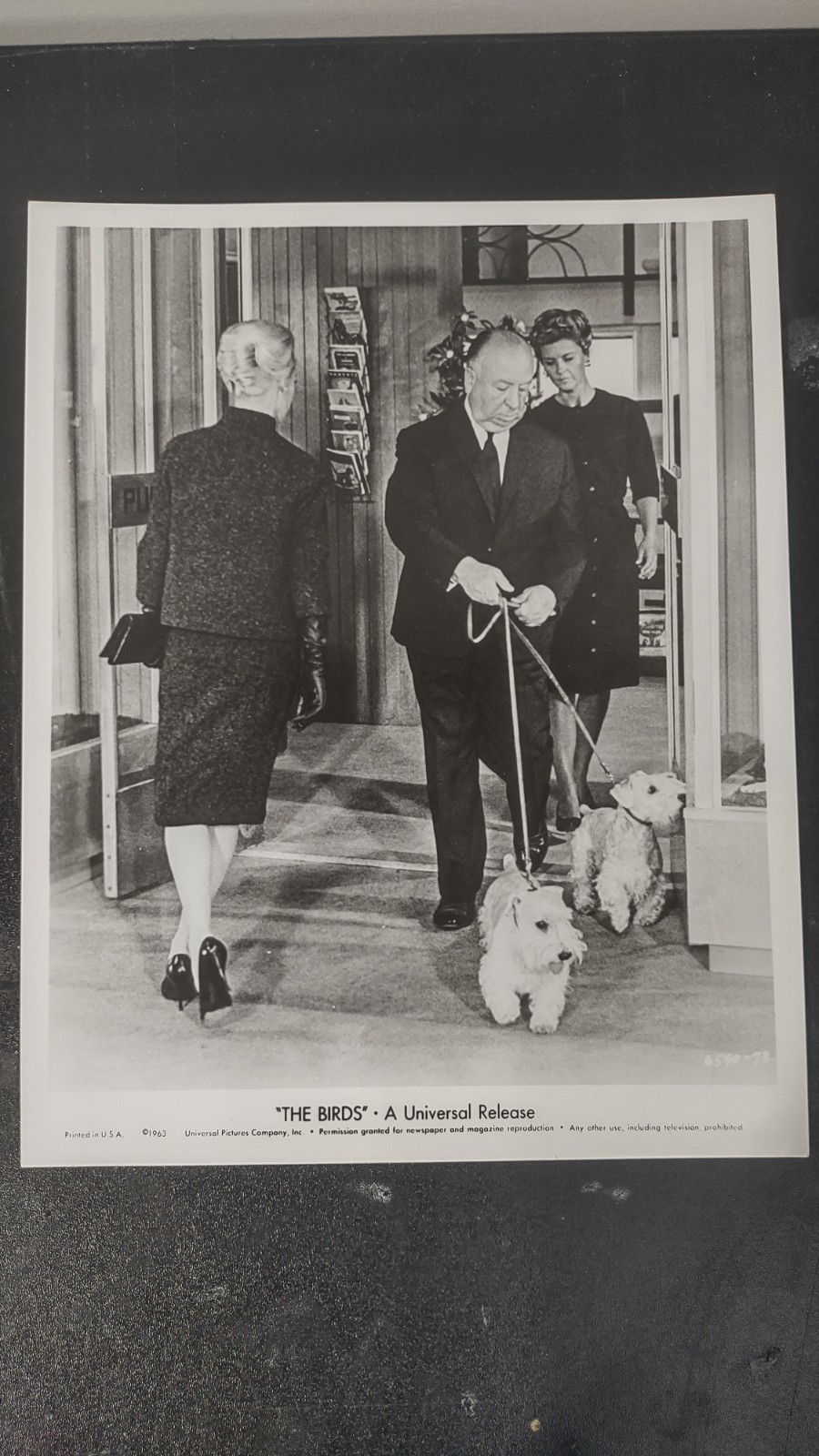Press Release Photo of Alfred Hitchcock Dog Walking In The City