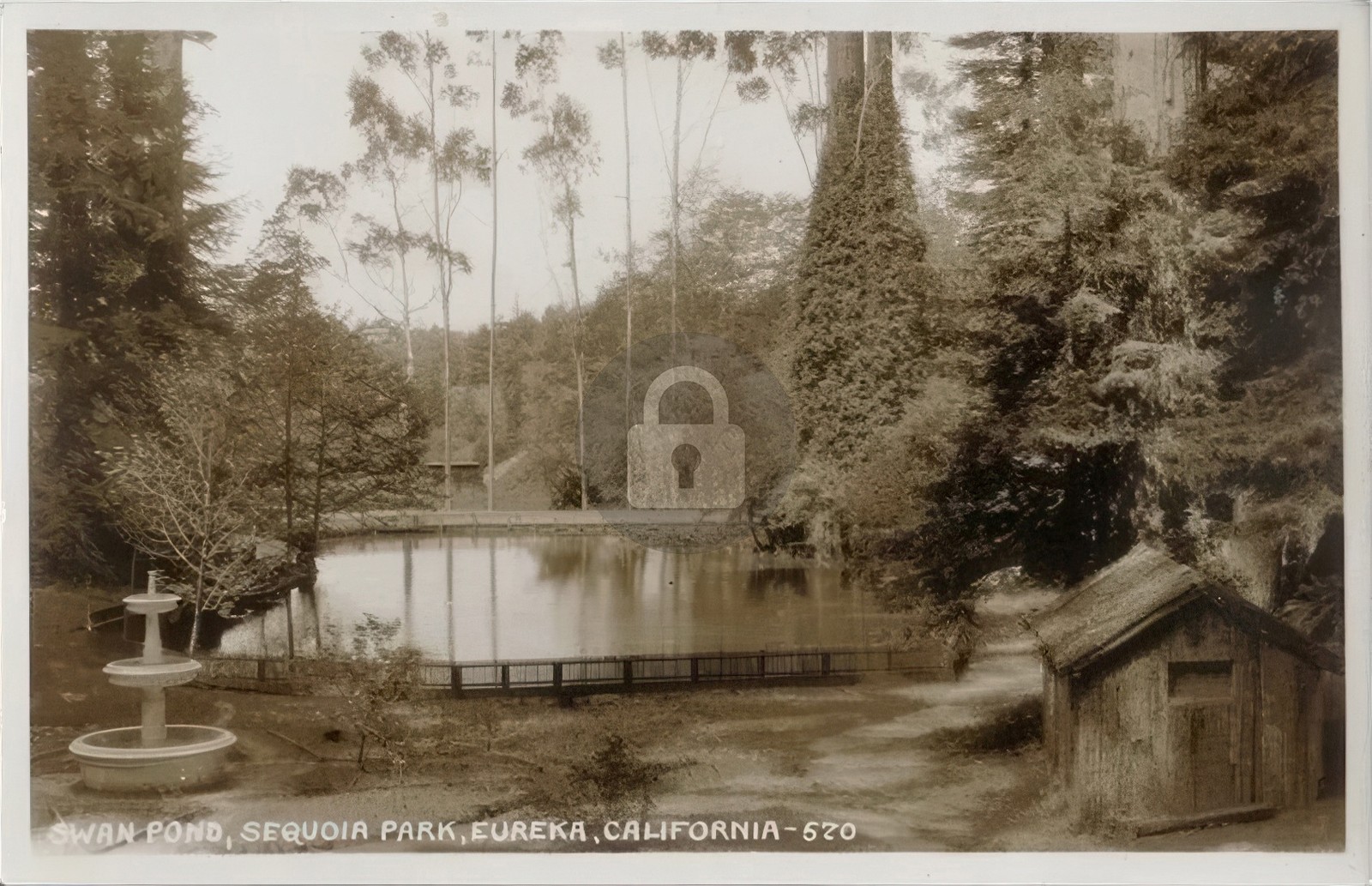 c1920s Sequoia Park Pond Eureka CA Humboldt County RPPC Photo Postcard COPY c1920s Sequoia Park Pond Eureka CA Humboldt County RPPC Photo Postcard COPY