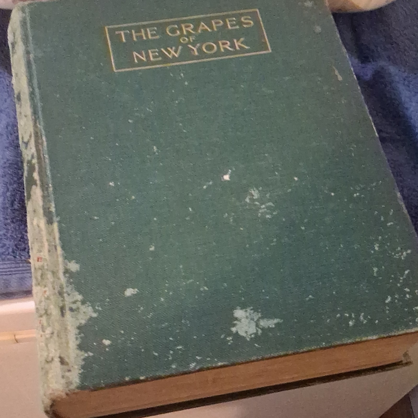 U. P. Hedrick The Grapes of New York Illus HC J.B. Lyon Albany 1908 English U. P. Hedrick The Grapes of New York Illus HC J.B. Lyon Albany 1908 English