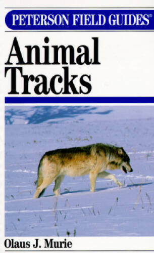 Peterson Field Guide(R) to Animal Tracks: Second Edition (Peterson F - VERY GOOD