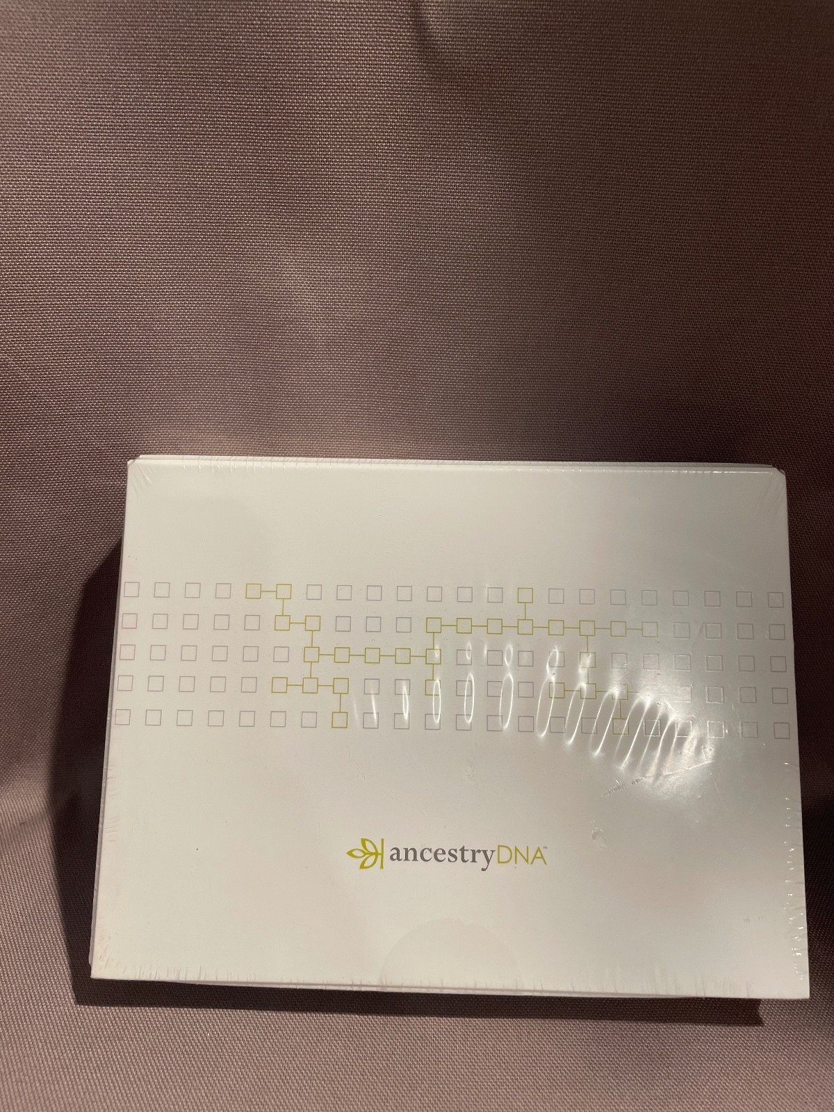 AncestryDNA Original 2013 Genetic DNA Testing Kit Factory Sealed Unused Vintage
